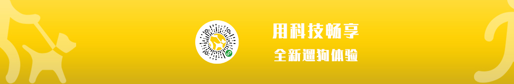 宠步+：用科技畅享全新遛狗体验