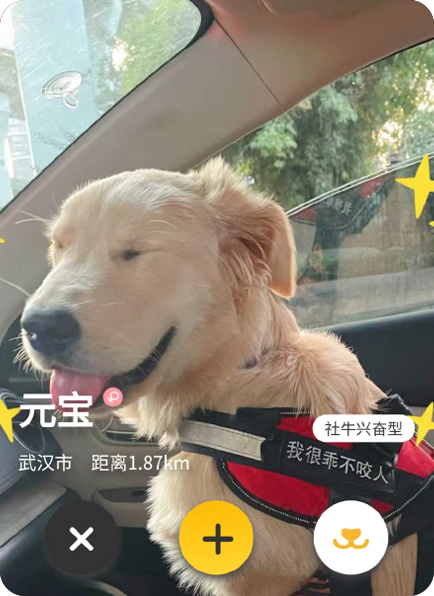 宠步+小程序