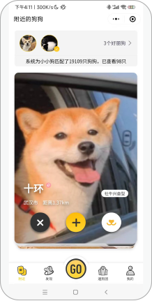 宠步+小程序