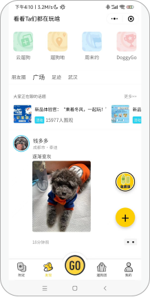 宠步+小程序